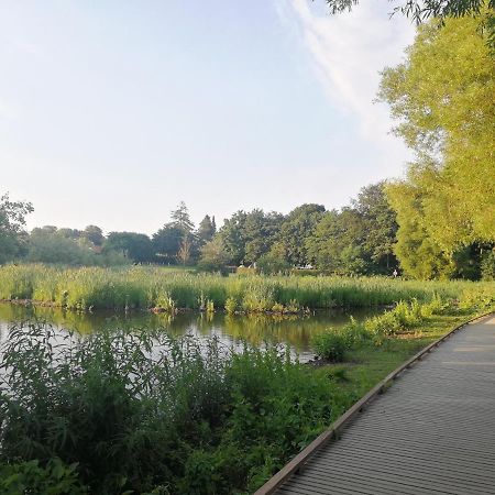 Room In A Danish Cottage With Garden View, 10 Min To Cph Gentofte Zewnętrze zdjęcie